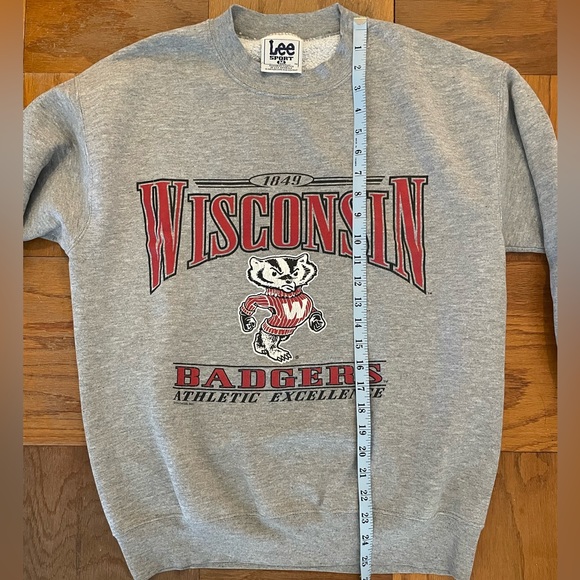 Vintage University of Wisconsin Badgers Crewneck Sweatshirt Gray M Lee Sport 90s - Picture 5 of 6